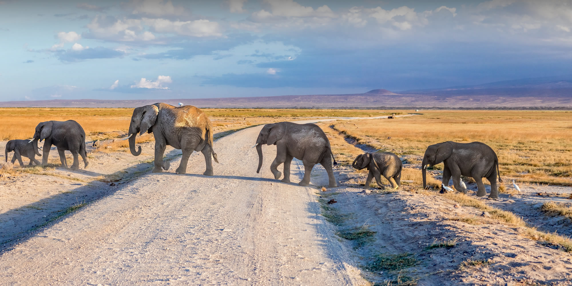 amboseli national park