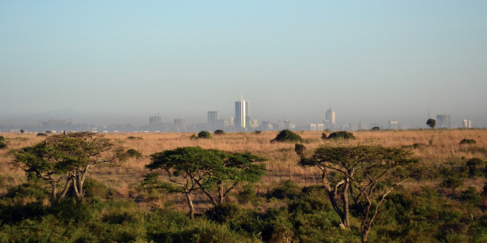 nairobi national park