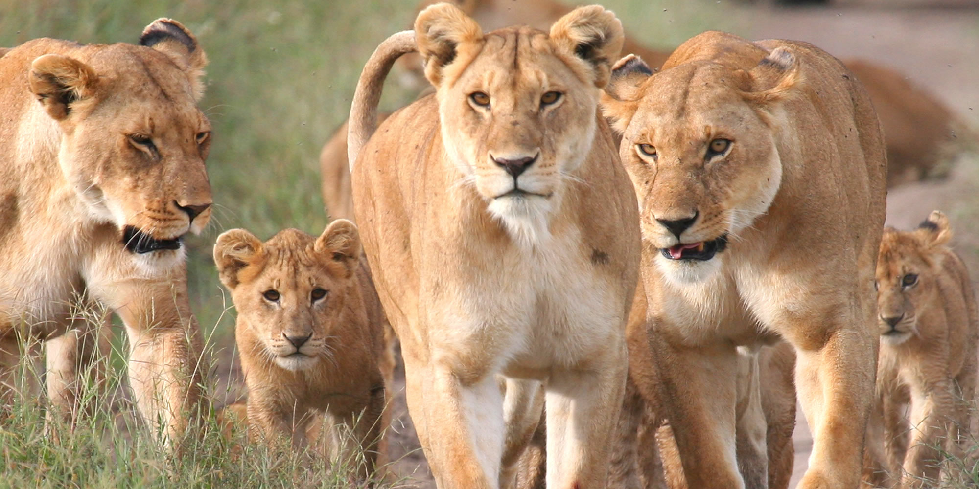 top destinations tanzania
