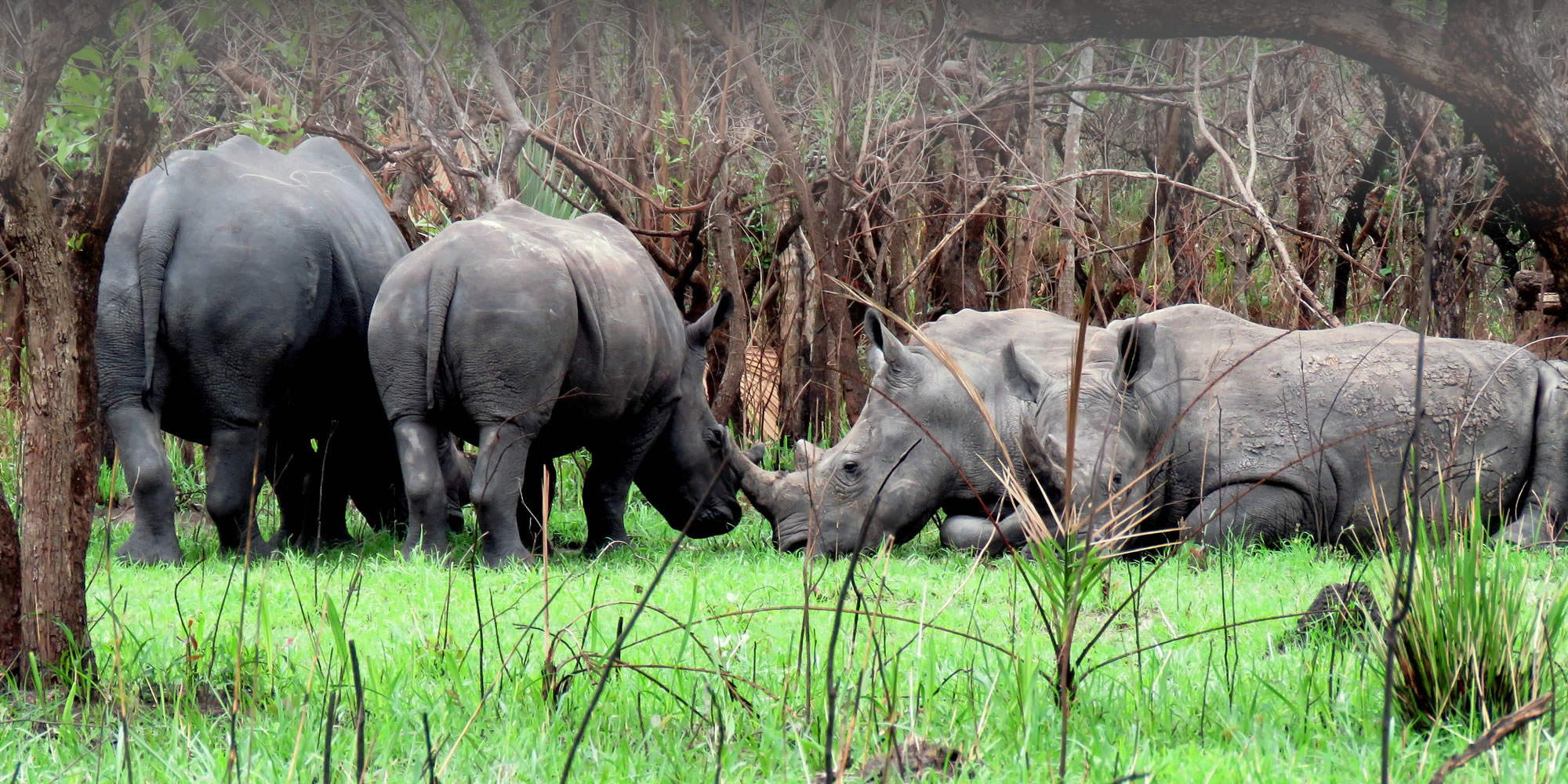 top destinations uganda